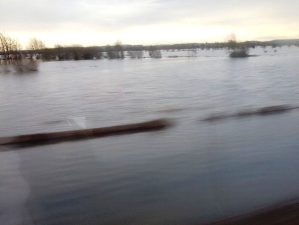 The view from the train between Exeter and Taunton